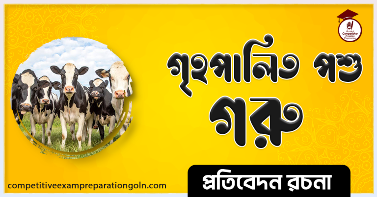 গরুর রচনা । Essay on Cow