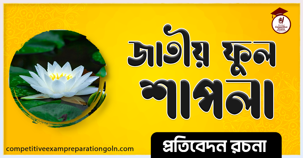 জাতীয় ফুল শাপলা রচনা । Essay on National flower sapla