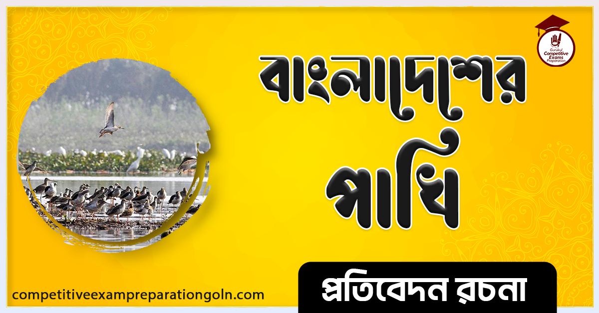 বাংলাদেশের পাখি রচনা । Essay on Birds of Bangladesh । প্রতিবেদন রচনা 1 বাংলাদেশের পাখি রচনা । Essay on Birds of Bangladesh