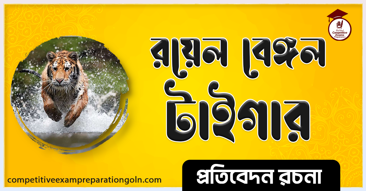 রয়েল বেঙ্গল টাইগার রচনা । Essay on Royal Bengal Tiger